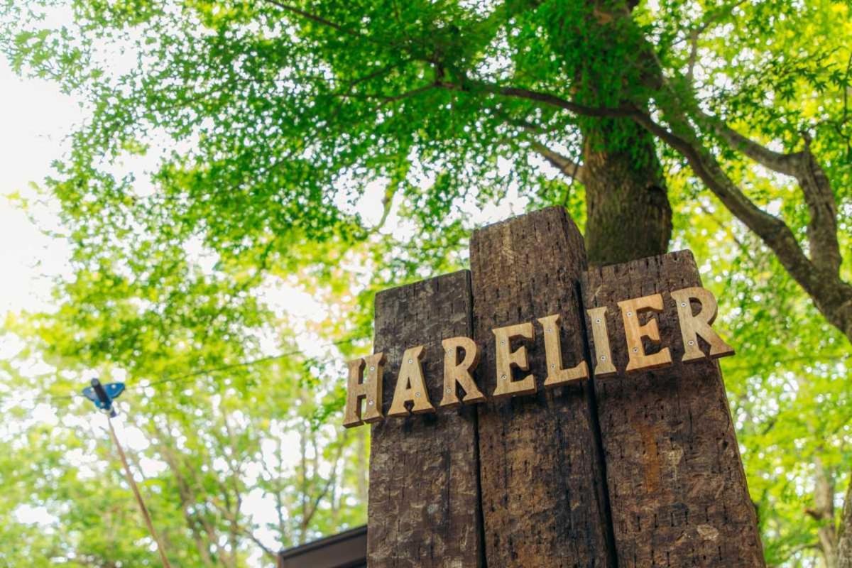 Harelier山中湖 Lägenhet Yamanakako Exteriör bild